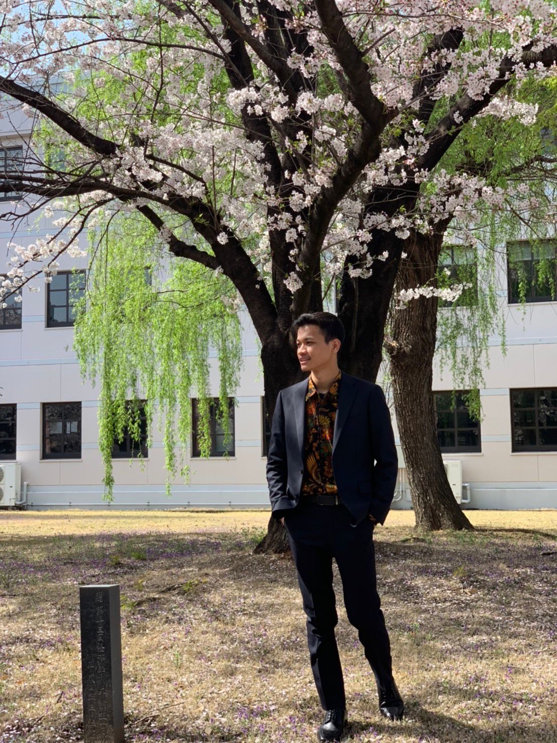 Sensei Dimas A
